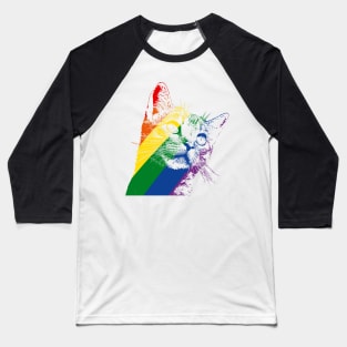 Rainbow Cat Baseball T-Shirt